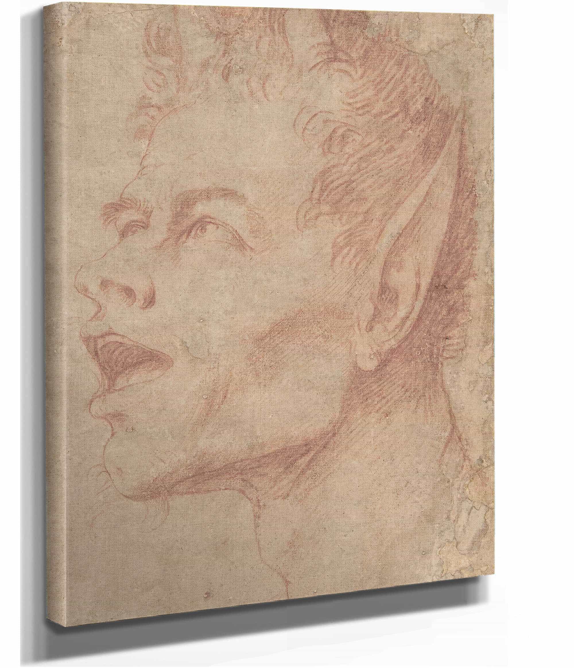 Head Of A Satyr Facing Left   by Jusepe De Ribera