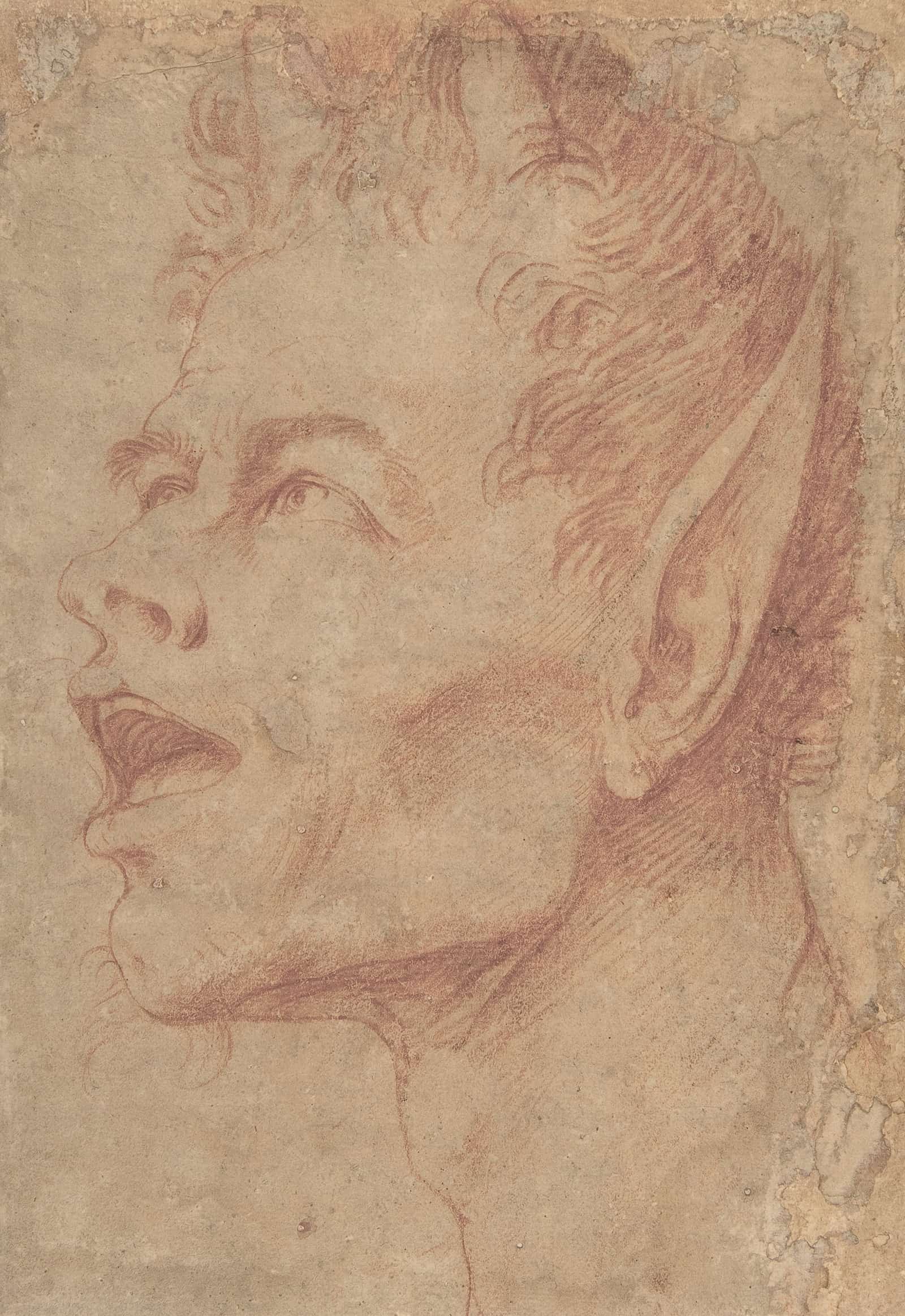 Head Of A Satyr Facing Left   by Jusepe De Ribera