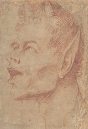 Head Of A Satyr Facing Left   by Jusepe De Ribera