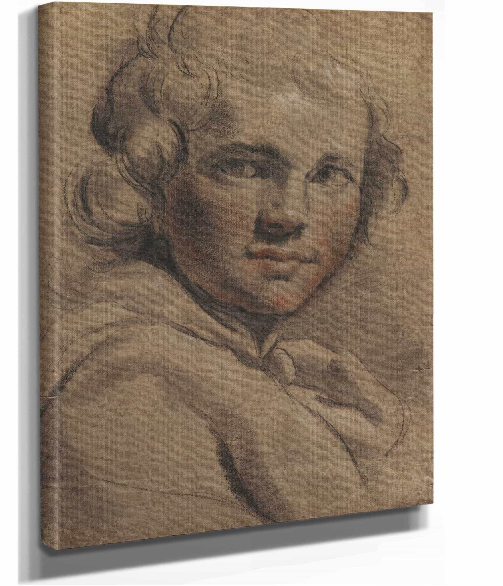Head Of A Young Man Recto S by Gaetano Gandolfi