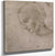 Head Of A Young Woman Or Head Of The Virgin By Leonardo Da Vinci