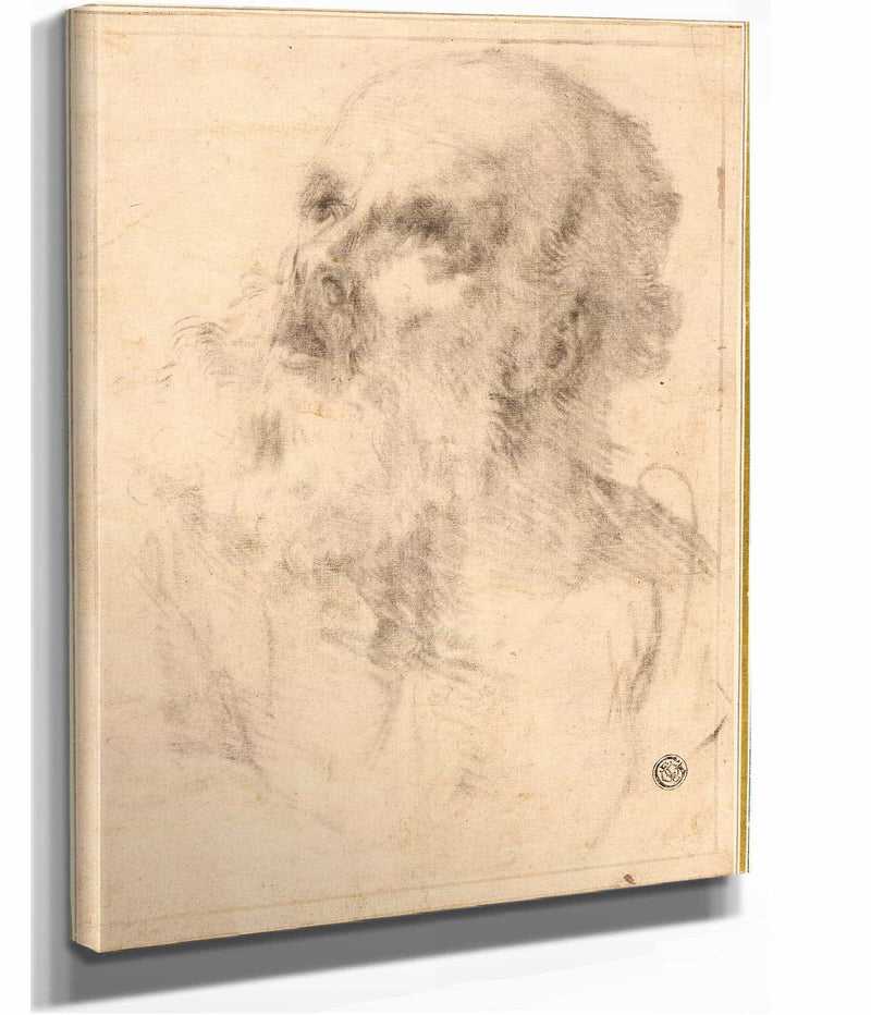 Head Of An Old Man by Bartolome Esteban Murillo