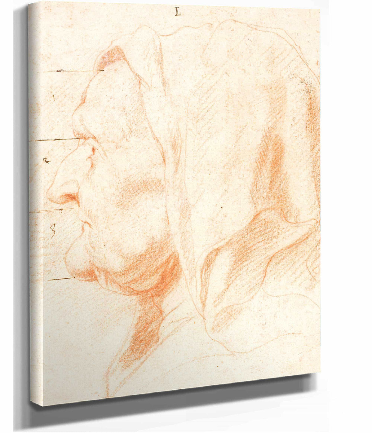 Head Of An Old Woman In Left Profile by Jacob Jordaens