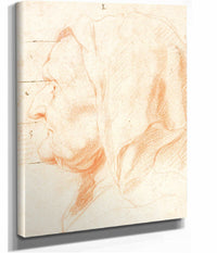 Head Of An Old Woman In Left Profile by Jacob Jordaens