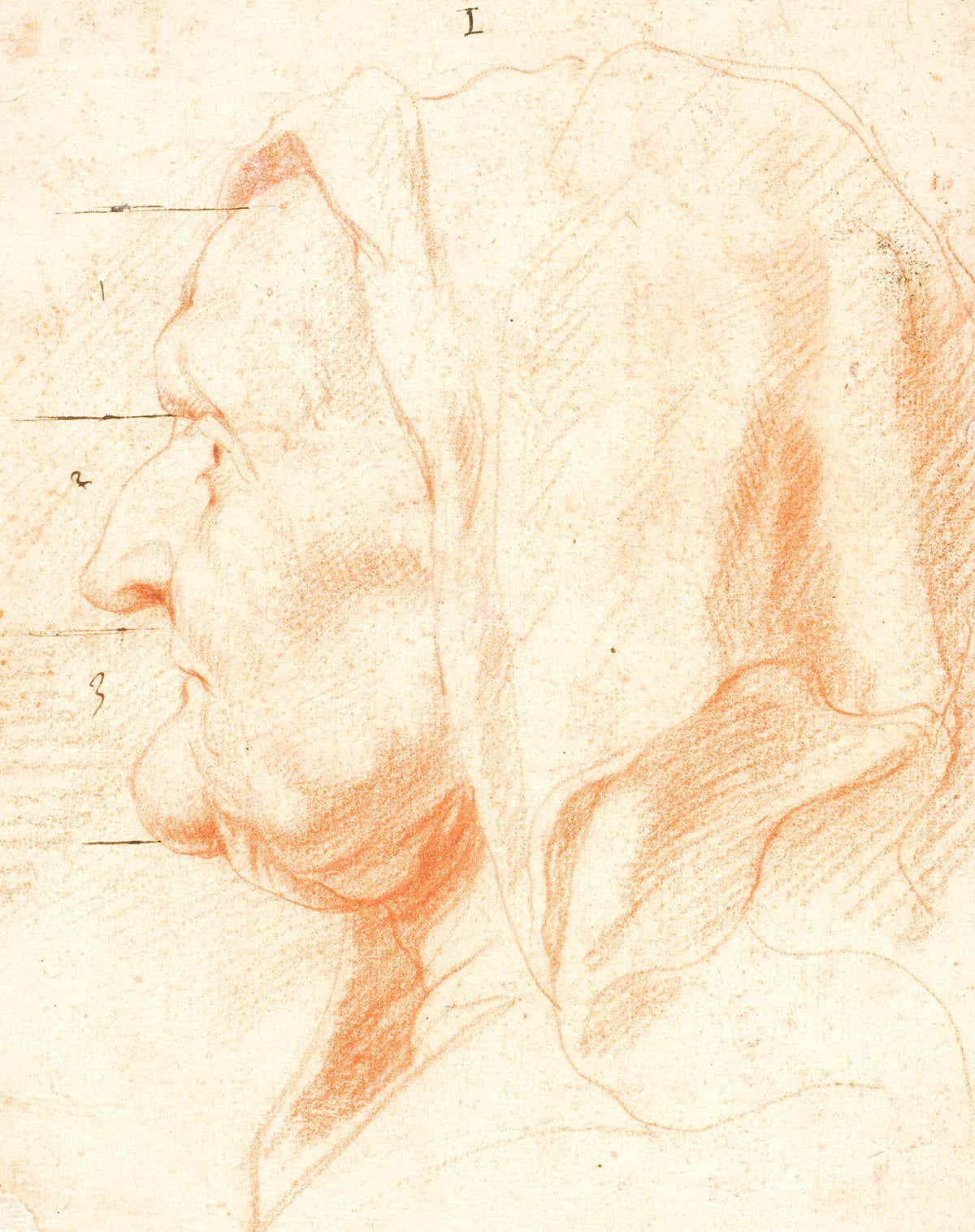 Head Of An Old Woman In Left Profile by Jacob Jordaens