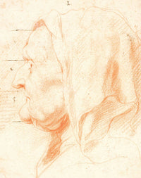 Head Of An Old Woman In Left Profile by Jacob Jordaens