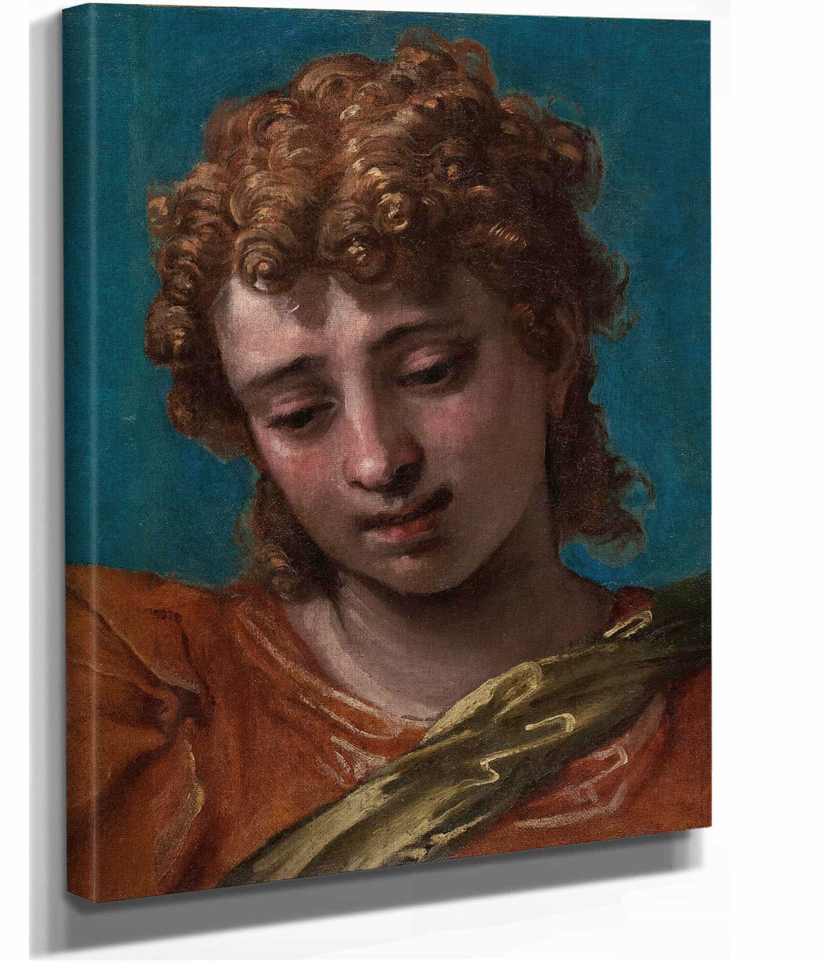 Head Of Saint Michael From The Petrobelli Altarpiece by Paolo Veronese