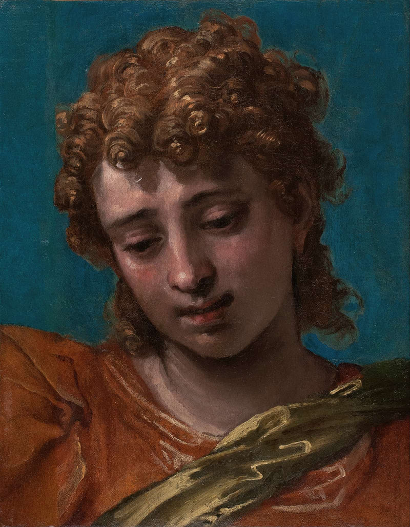 Head Of Saint Michael From The Petrobelli Altarpiece by Paolo Veronese