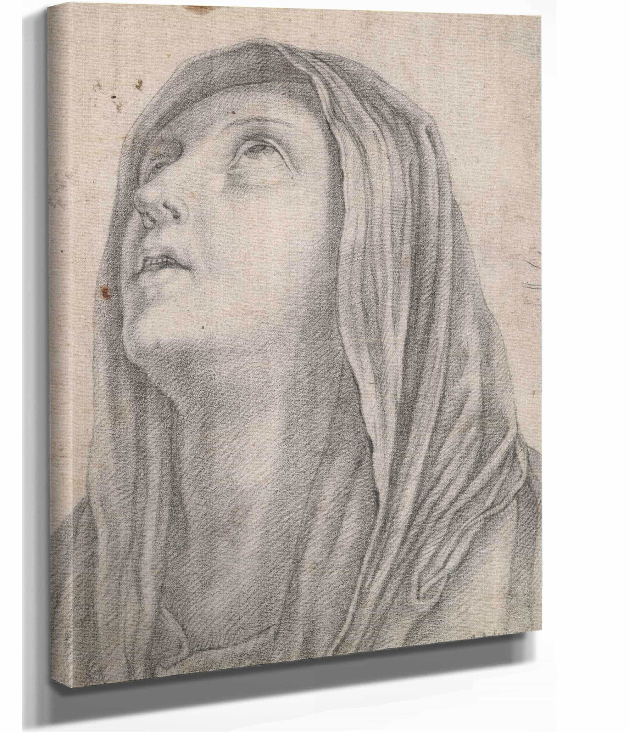 Head Of The Virgin Mary Th Century by Carlo Dolci
