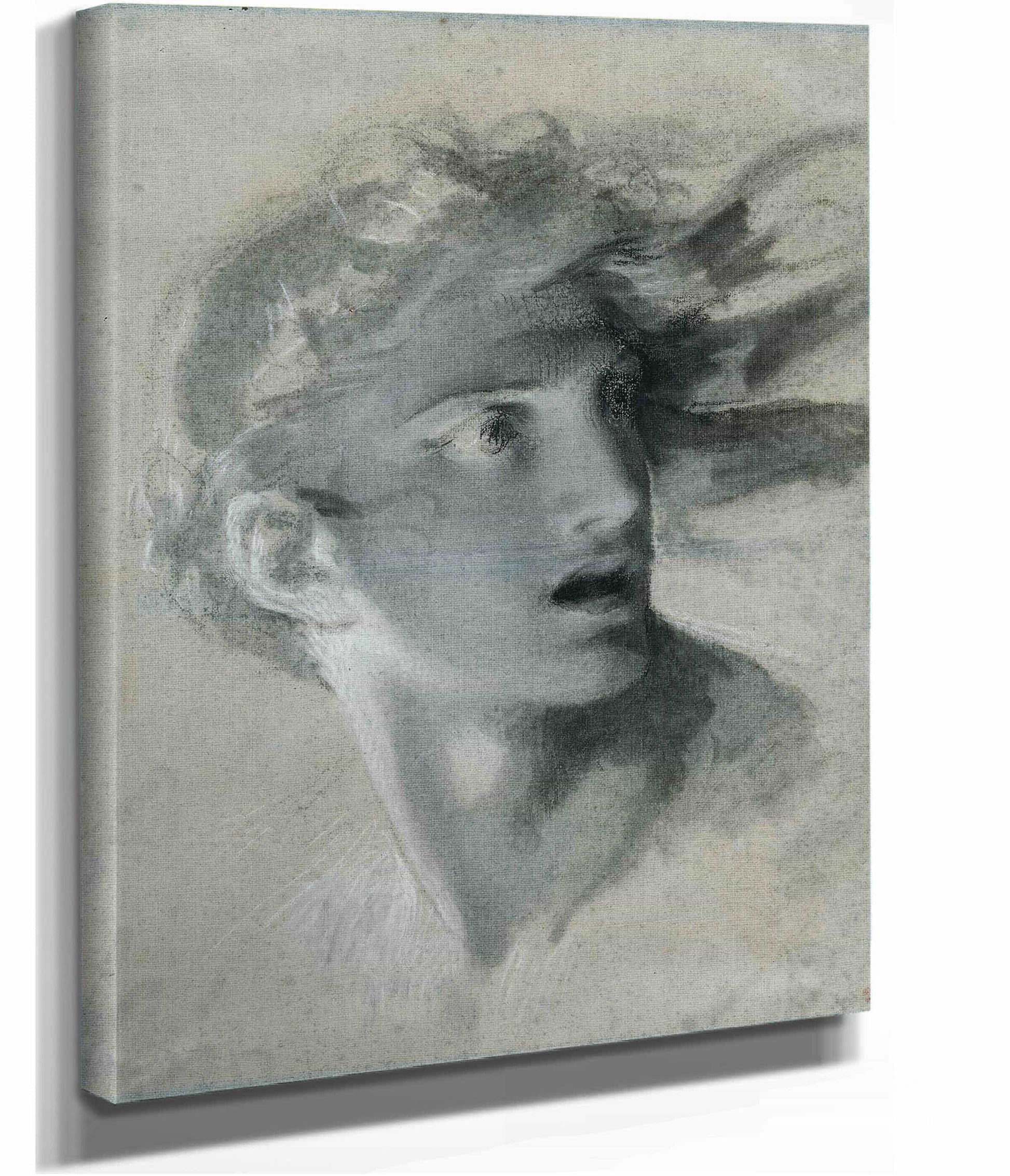 Head Of Vengeance   by Pierre Paul Prudhon