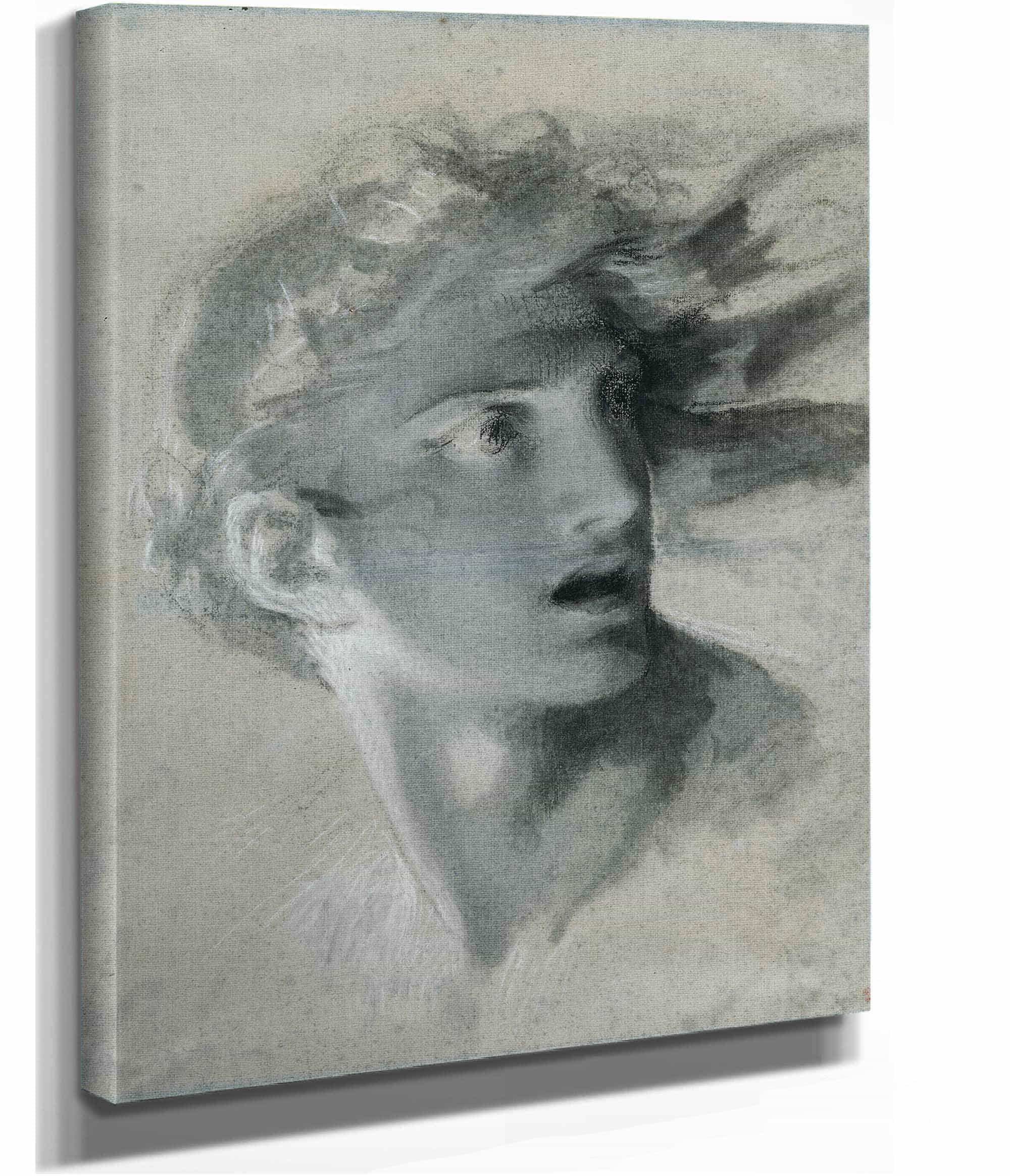 Head Of Vengeance   by Pierre Paul Prudhon