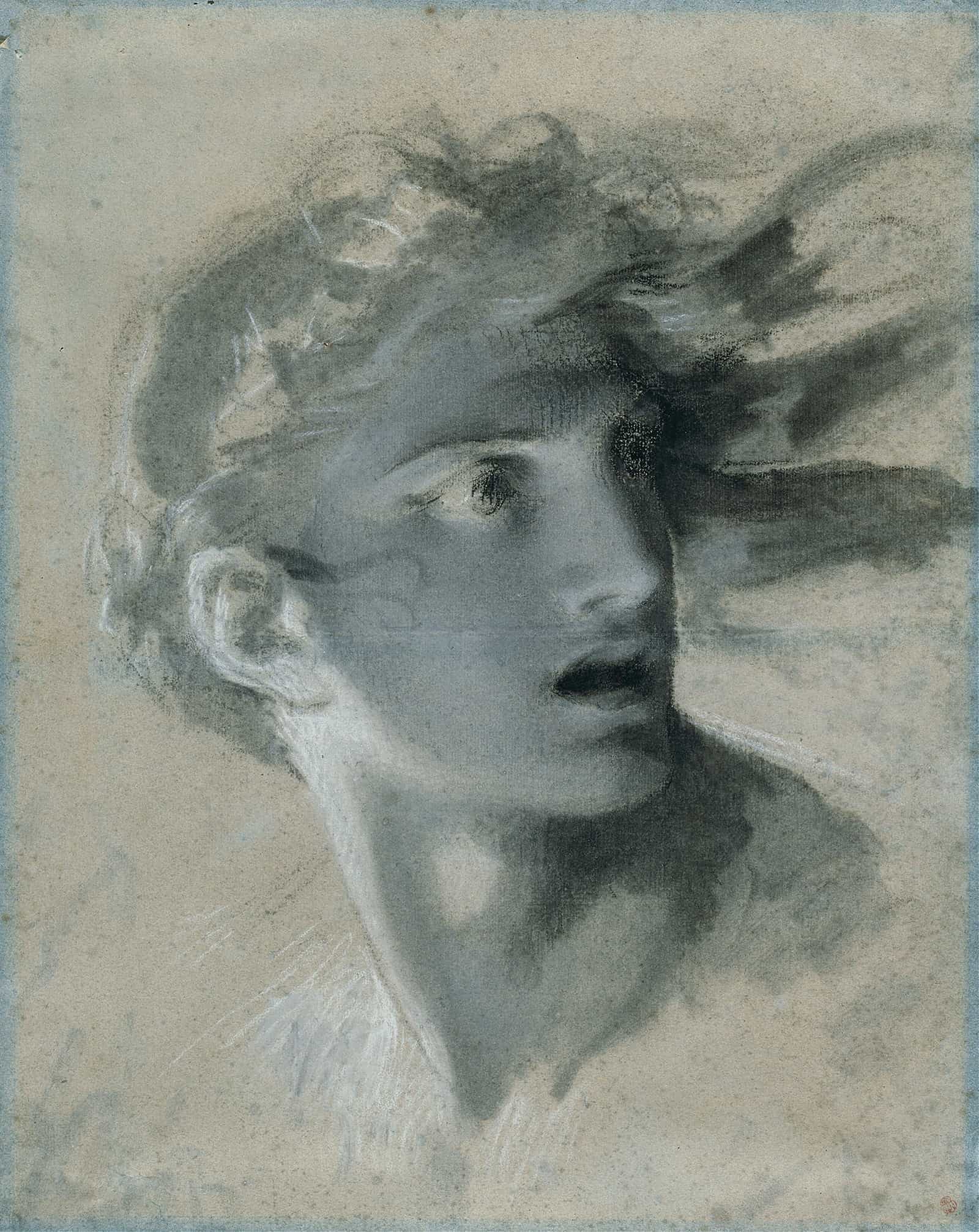 Head Of Vengeance   by Pierre Paul Prudhon