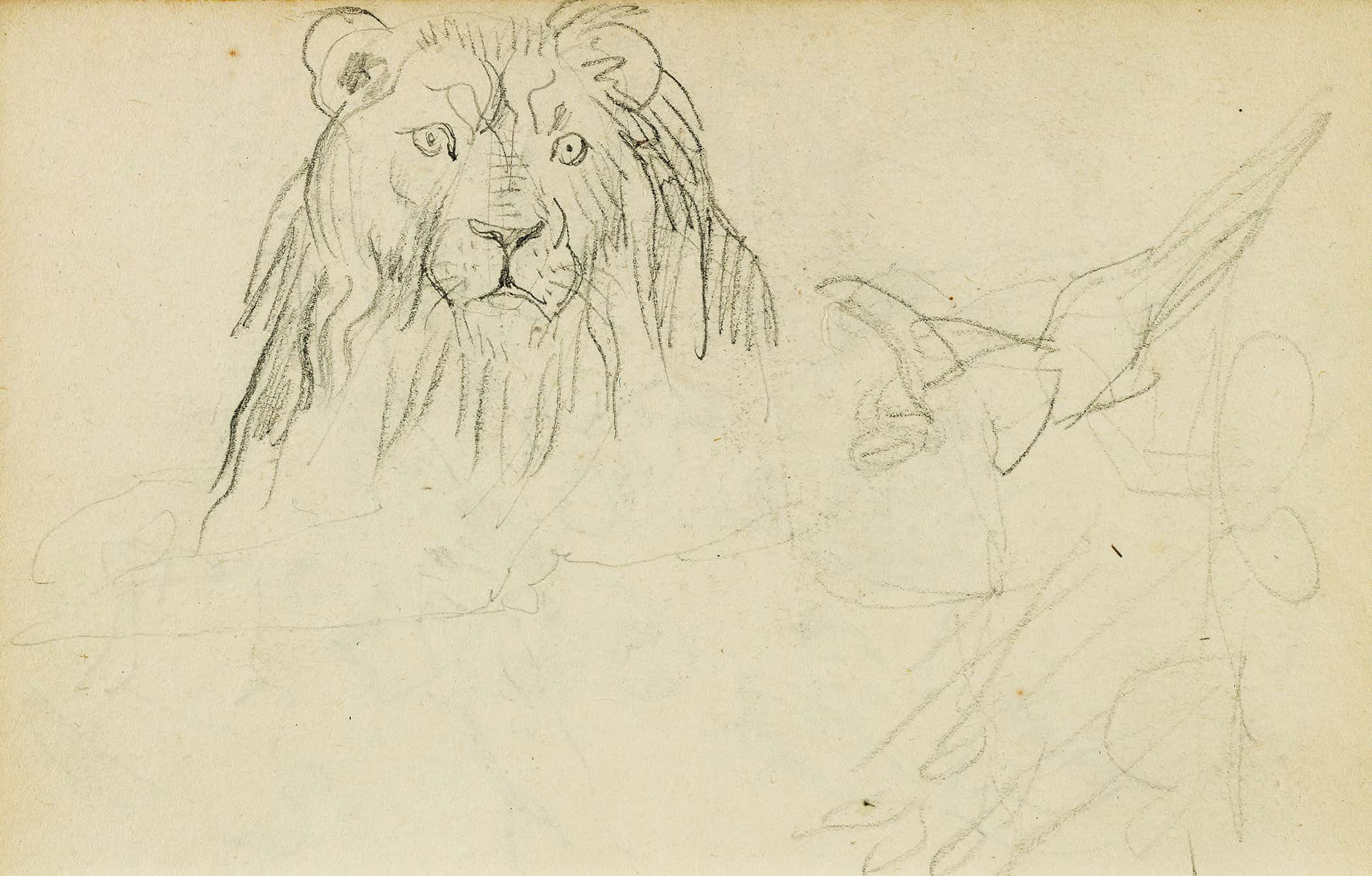 Head On View Of Seated Lion  by Theodore Gericault