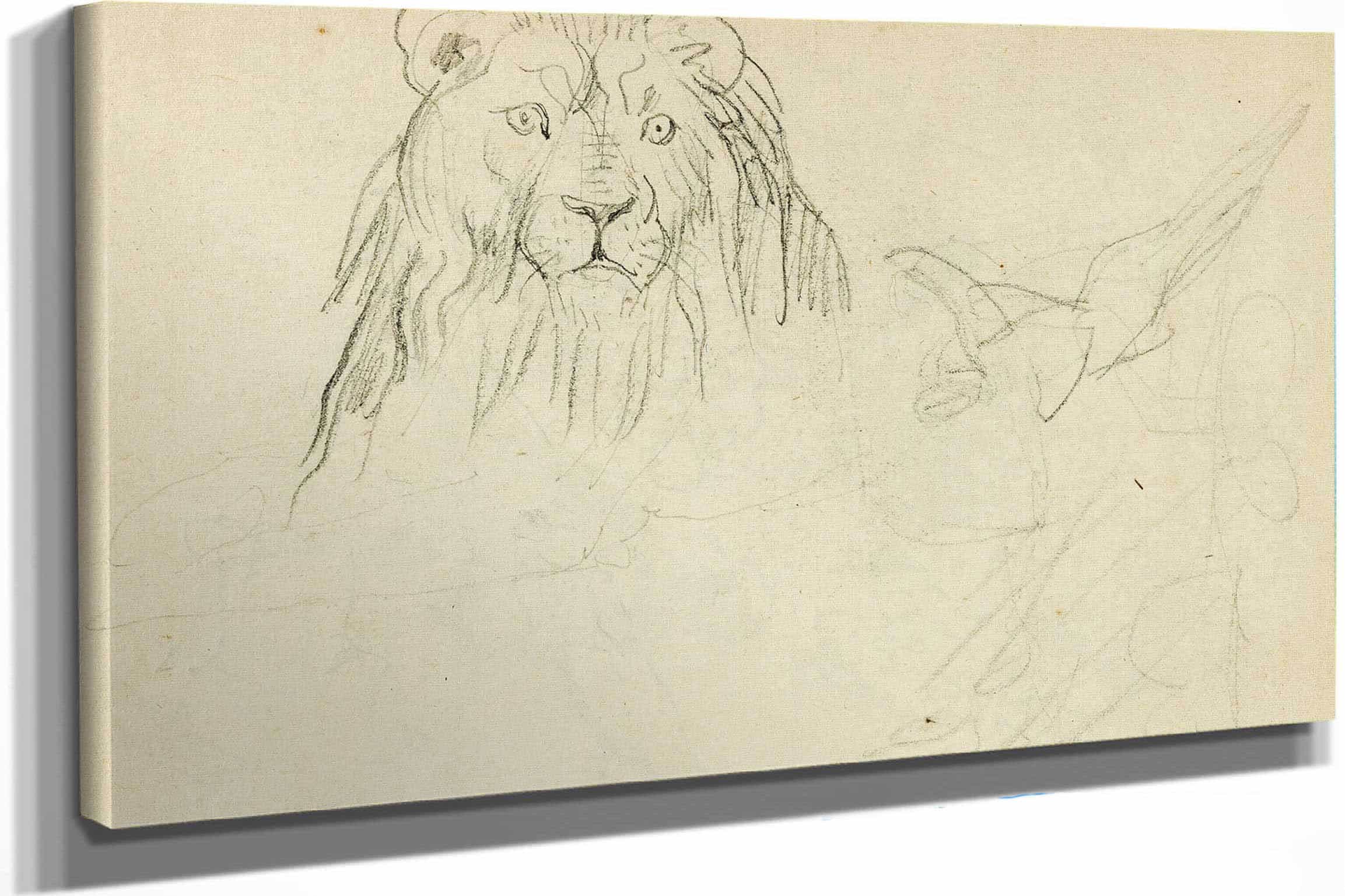 Head On View Of Seated Lion  by Theodore Gericault