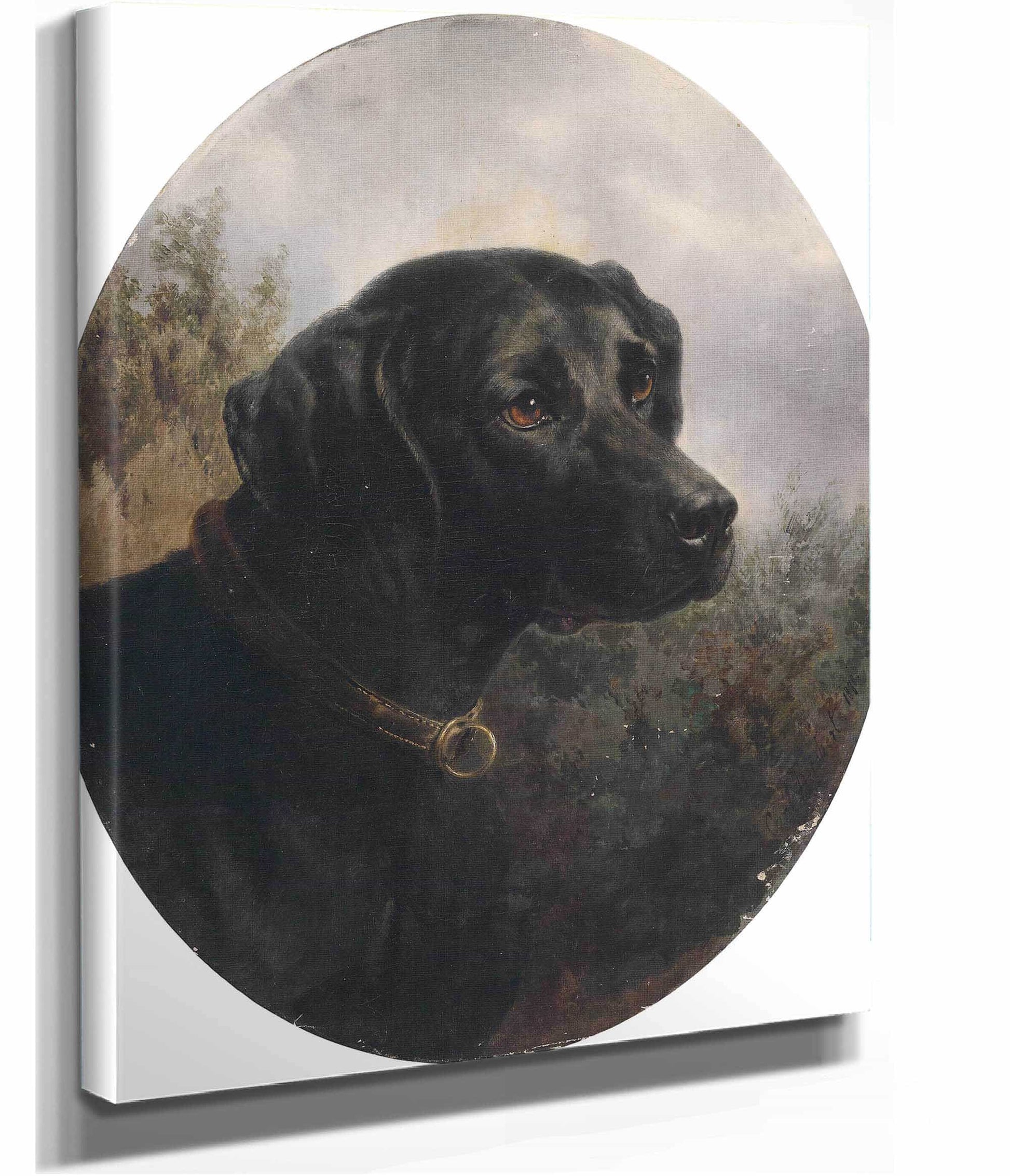 Hector by Carl Reichert