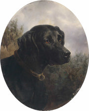 Hector by Carl Reichert