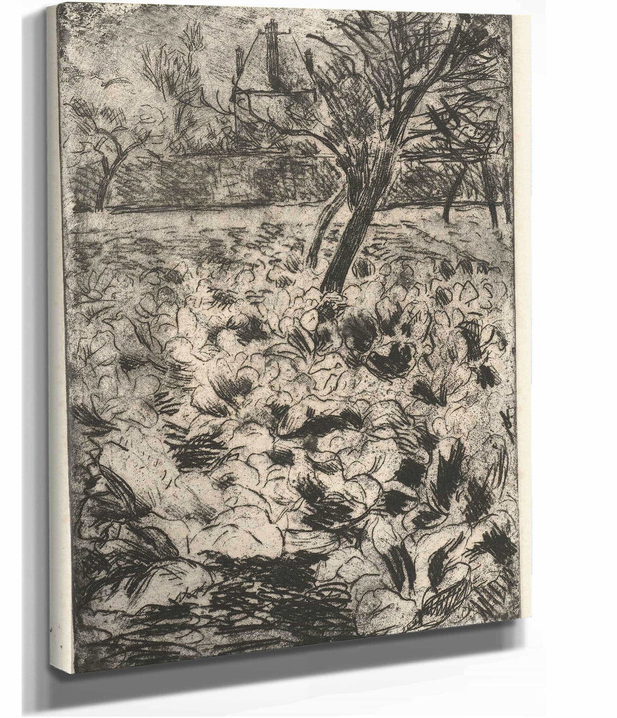 Het Knollenveld by Camille Pissarro