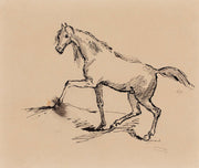 Hevonen Luonnos by Helene Schjerfbeck