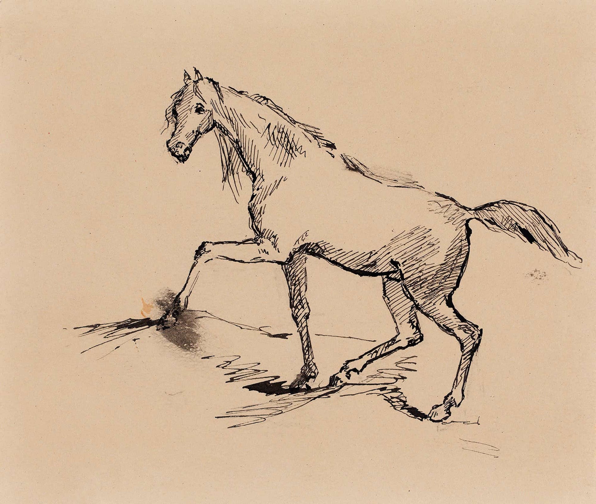 Hevonen Luonnos by Helene Schjerfbeck