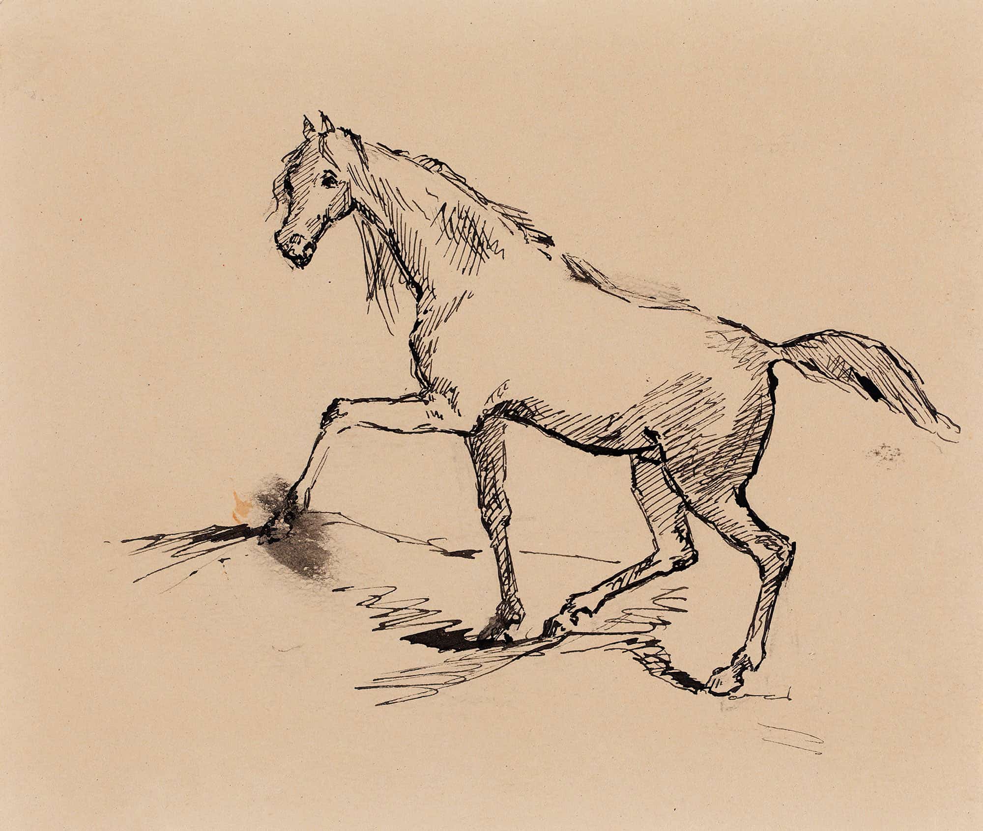 Hevonen Luonnos by Helene Schjerfbeck