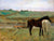 Horse In A Meadow By Edgar Degas