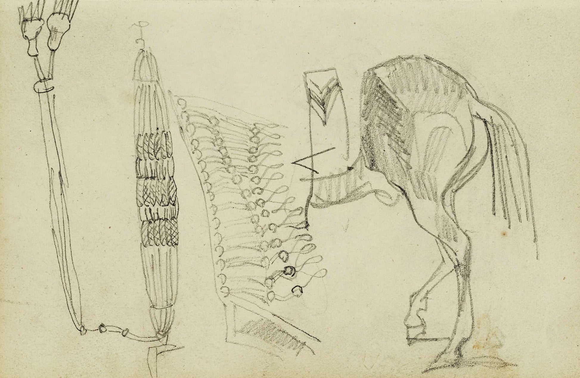 Horse Studies And Tassels  by Theodore Gericault