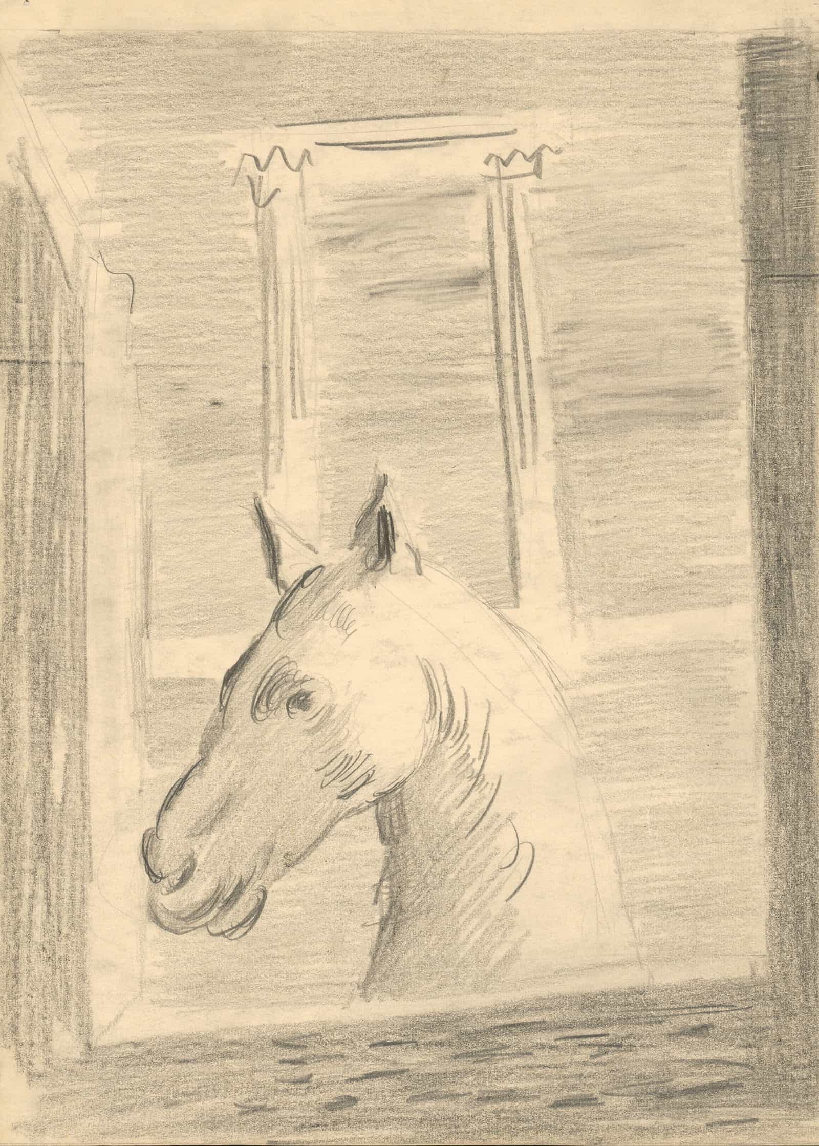 Horses Head by Cyprian Majernik