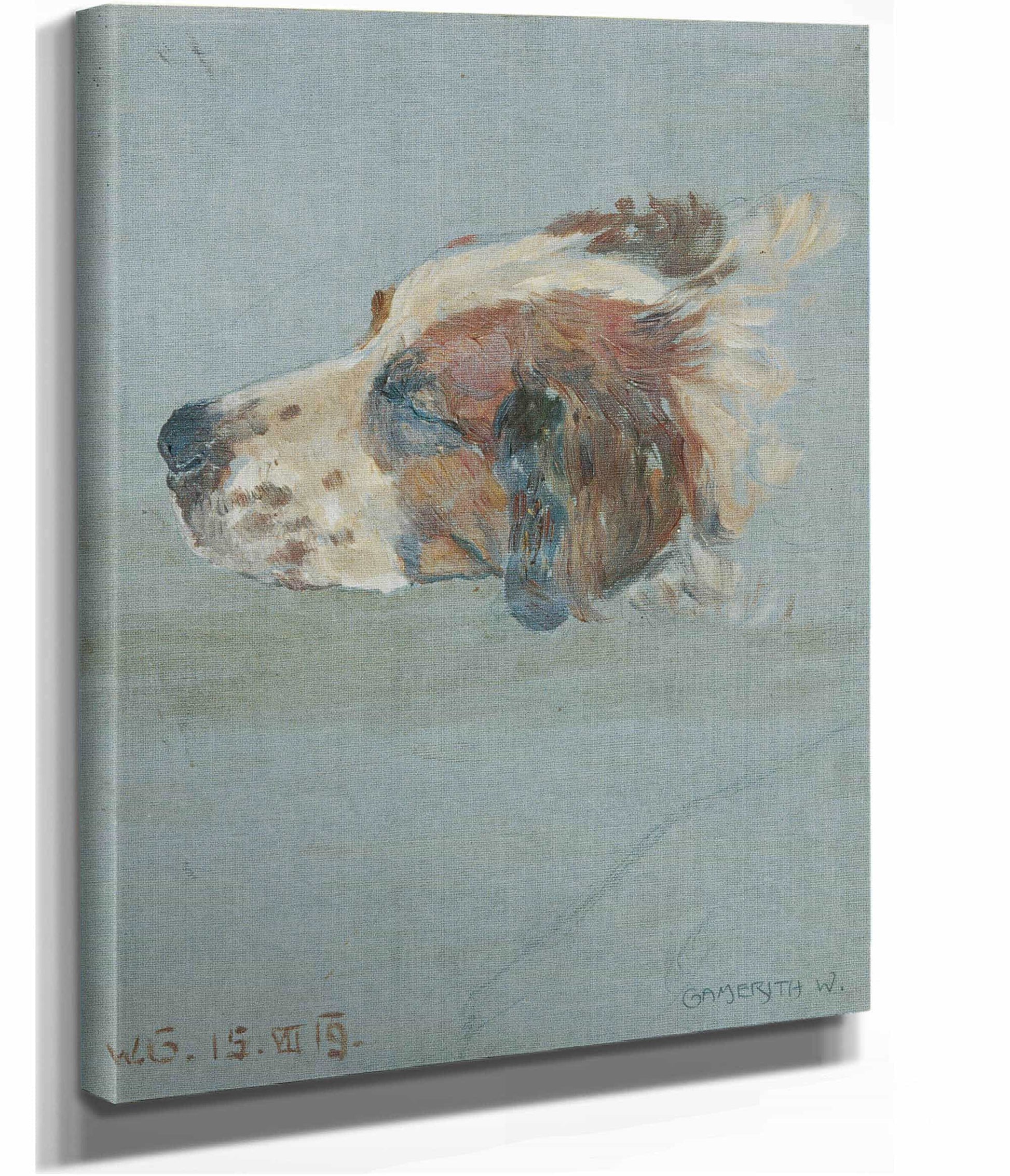 Hundekopf by Walther Gamerith