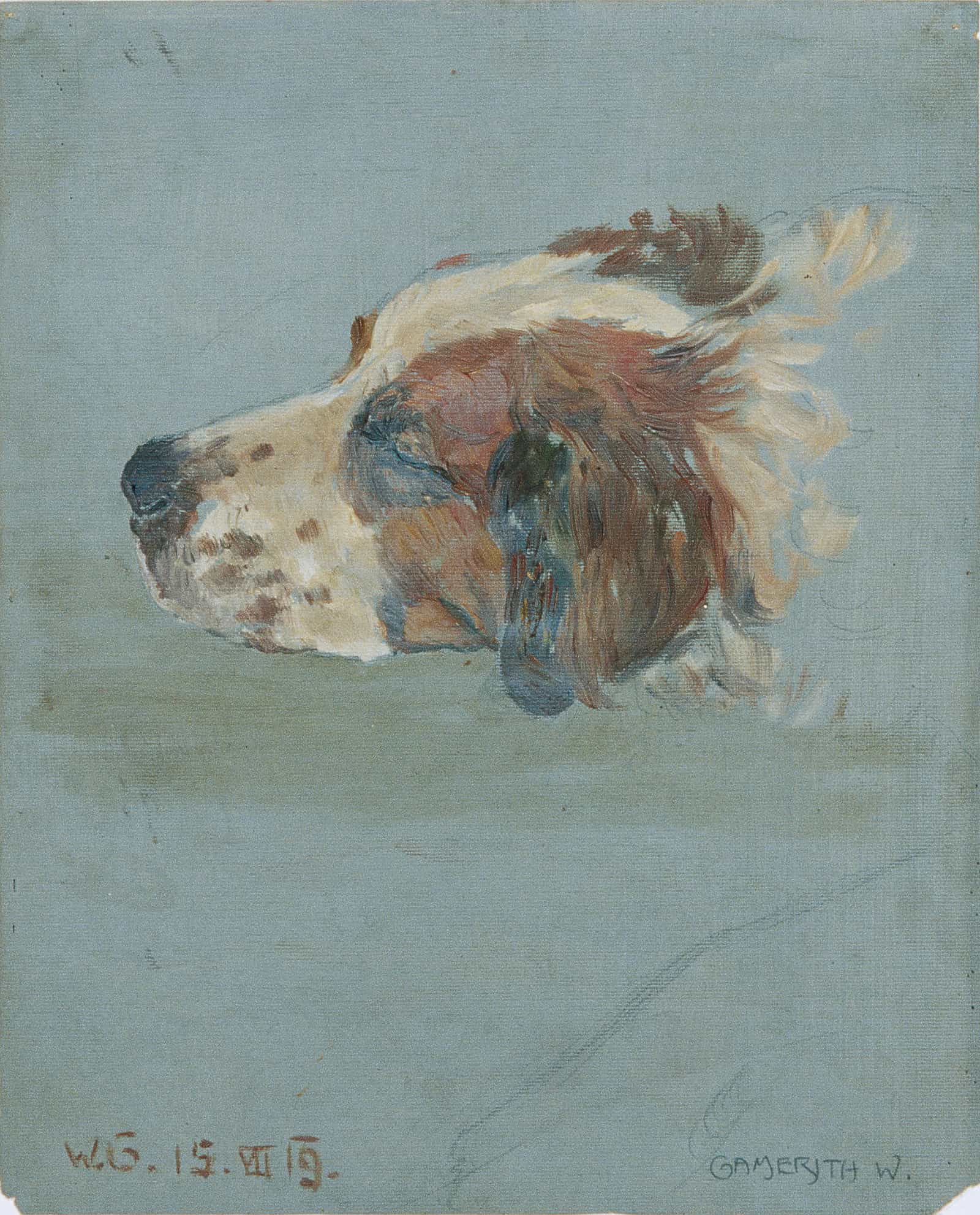 Hundekopf by Walther Gamerith