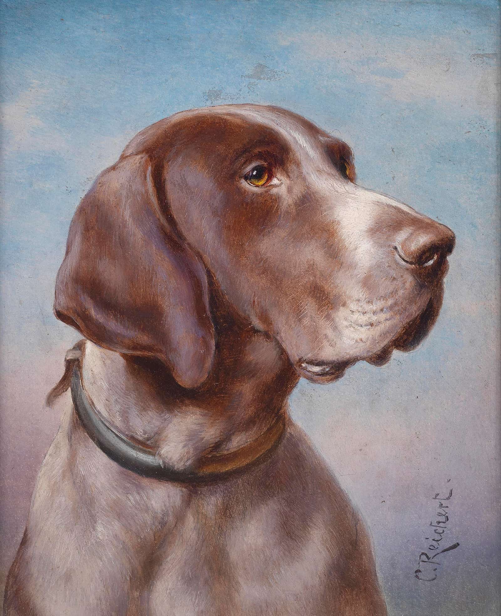 Hundeportrait by Carl Reichert