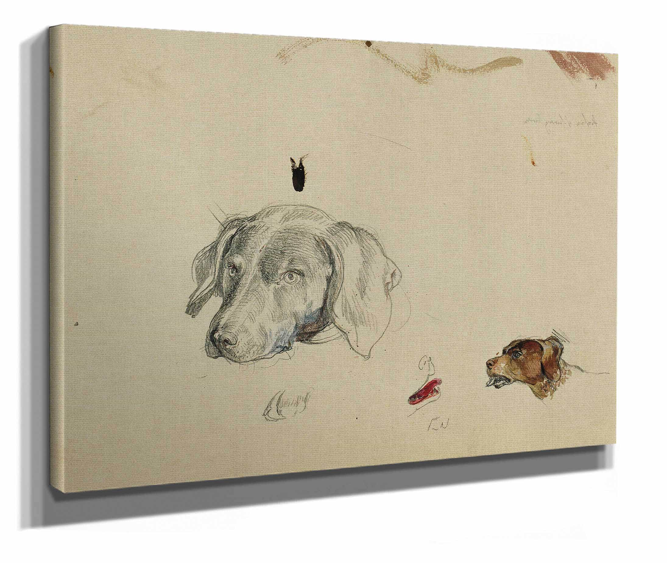 Hundestudie by Johann Peter Krafft