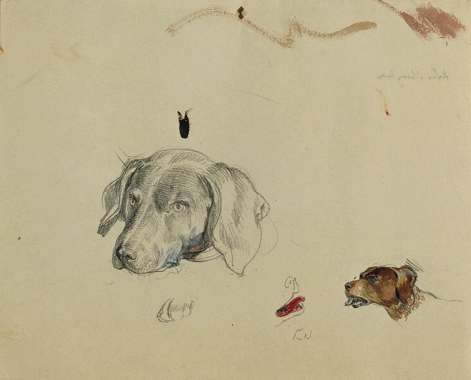 Hundestudie by Johann Peter Krafft