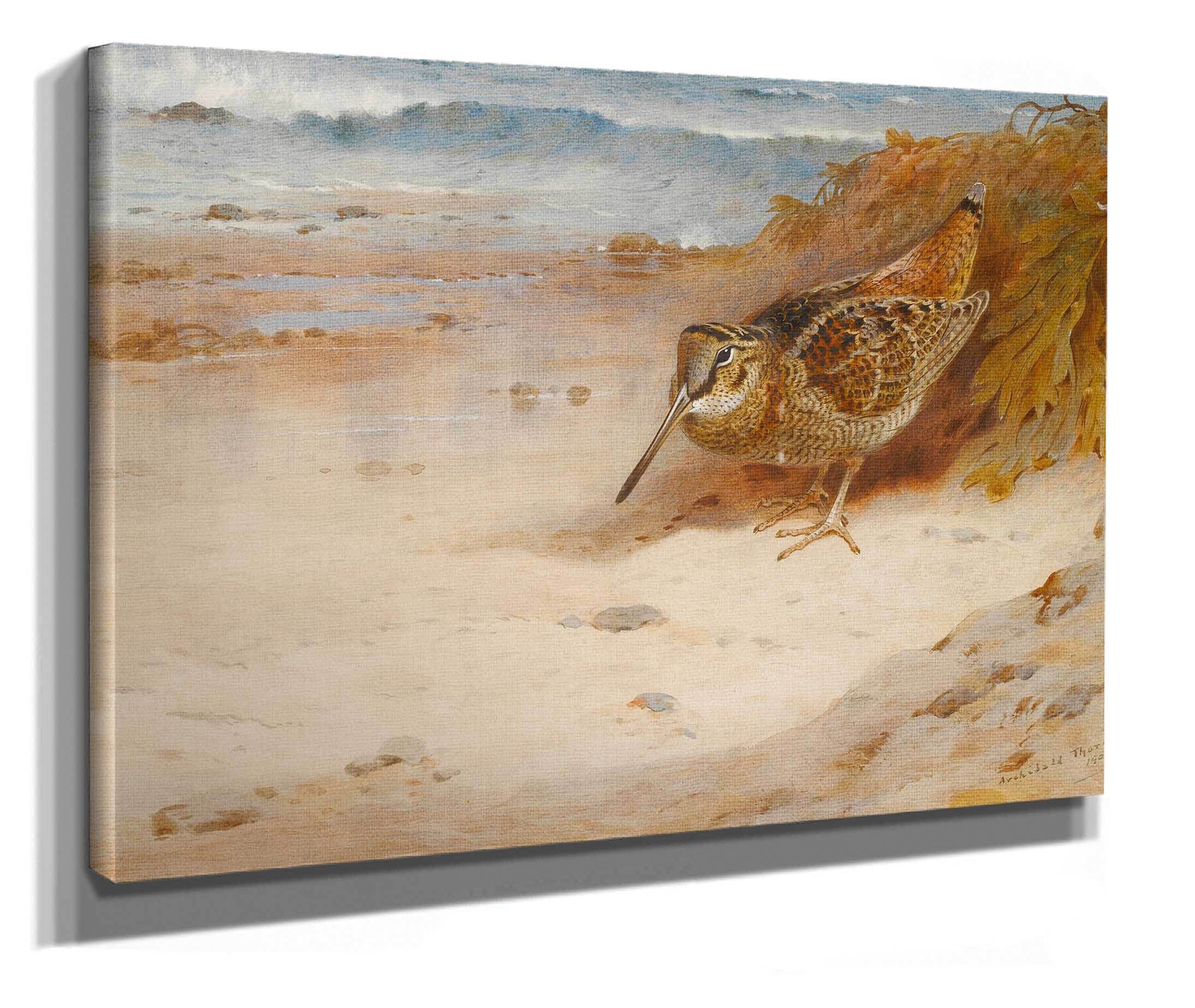 Hungry And Homeless by Archibald Thorburn