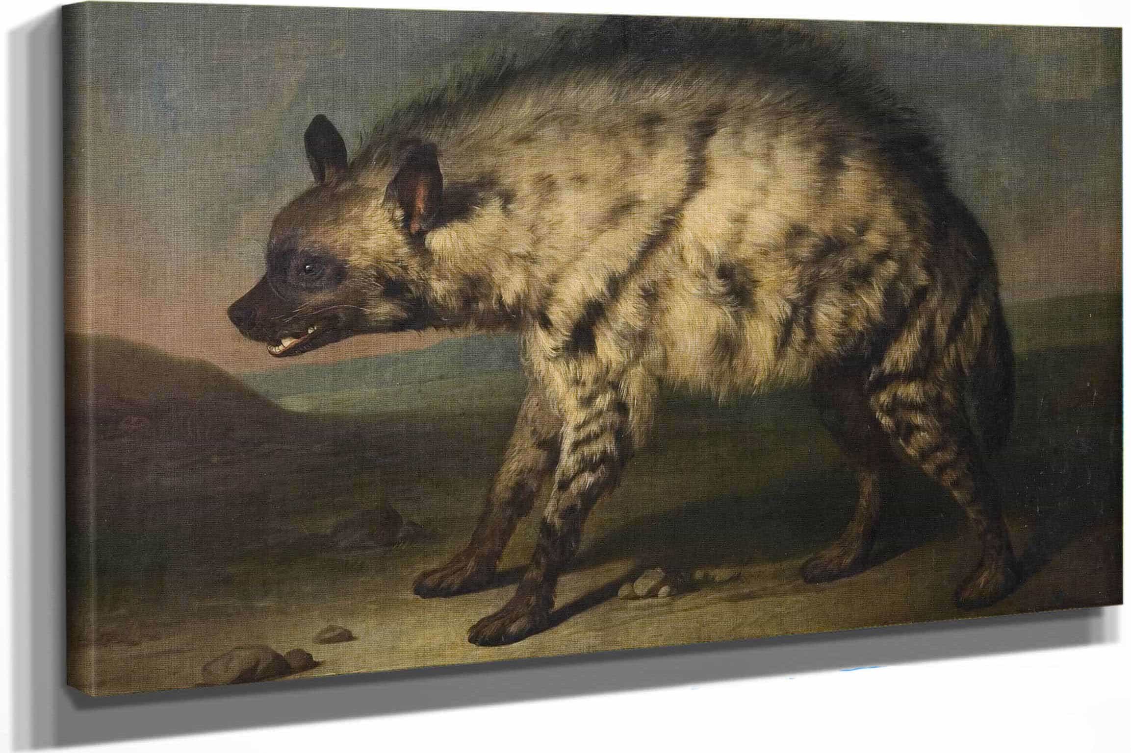 Hyaenen I Menageriet Ved Frederiksberg Slot by Jens Juel