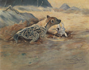 Hyane Auf Der Lauer by Wilhelm Kuhnert