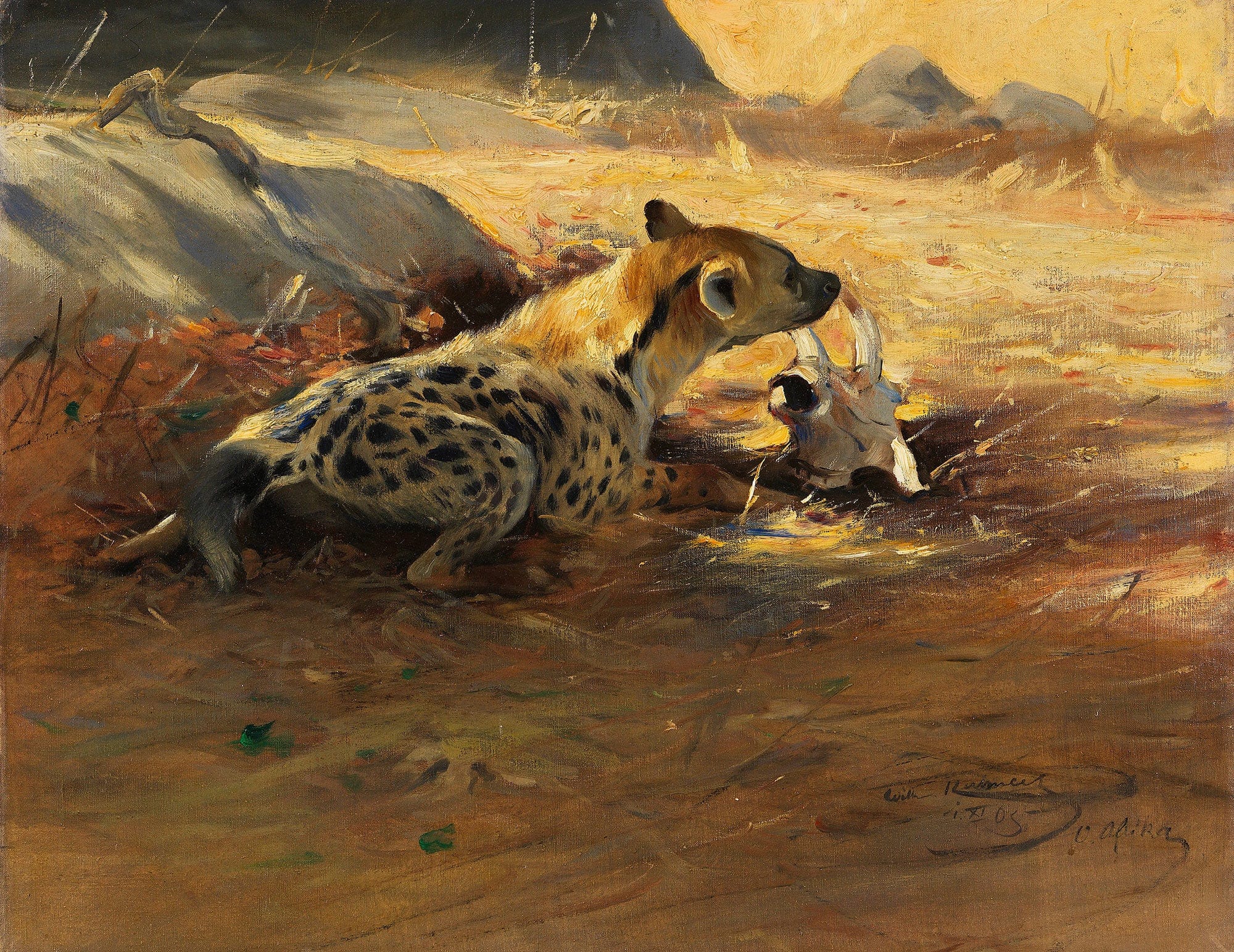 Hyane by Wilhelm Kuhnert