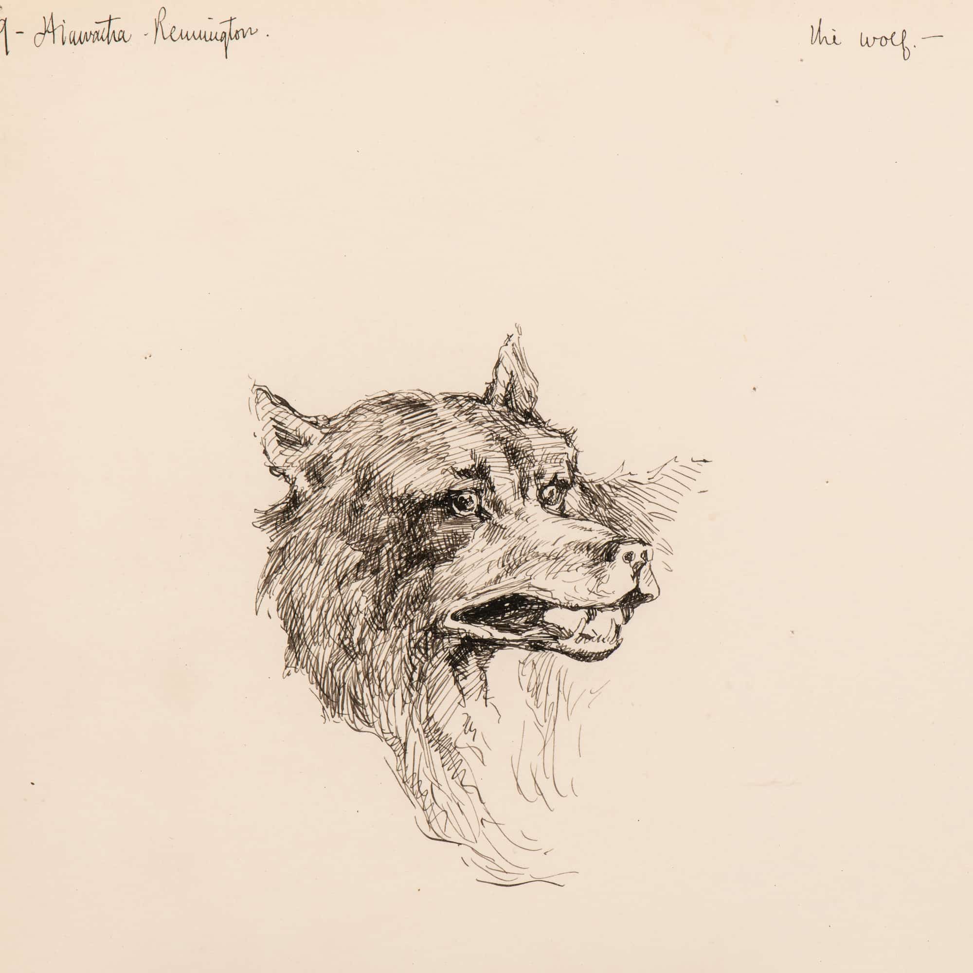Illustration For The Song Of Hiawatha  by Frederic Remington