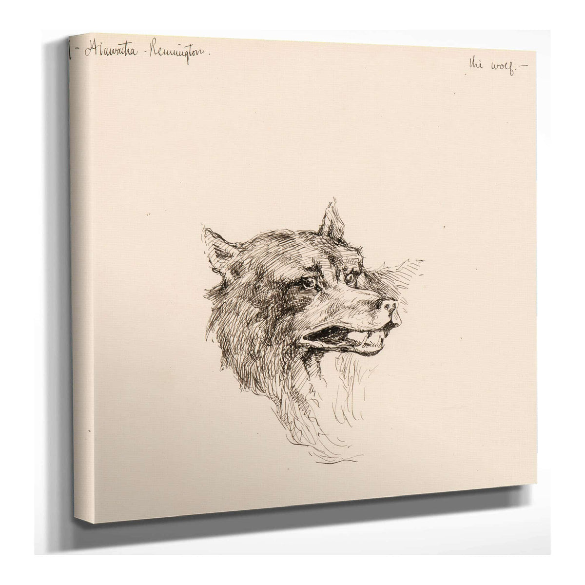 Illustration For The Song Of Hiawatha  by Frederic Remington