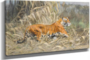 Im Dschungel Tiger by Wilhelm Kuhnert