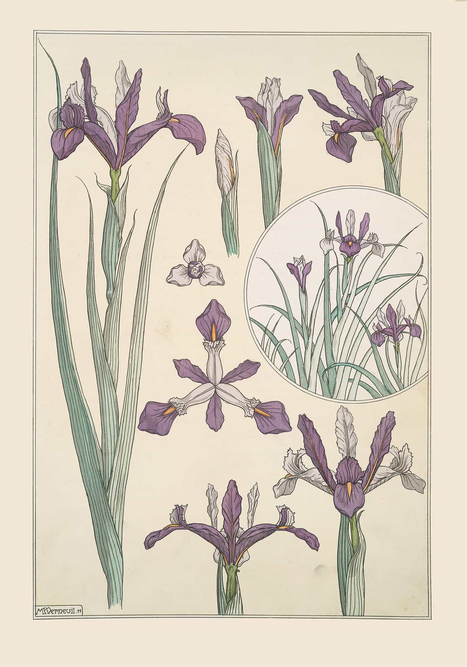 Iris by Maurice Pillard Verneuil