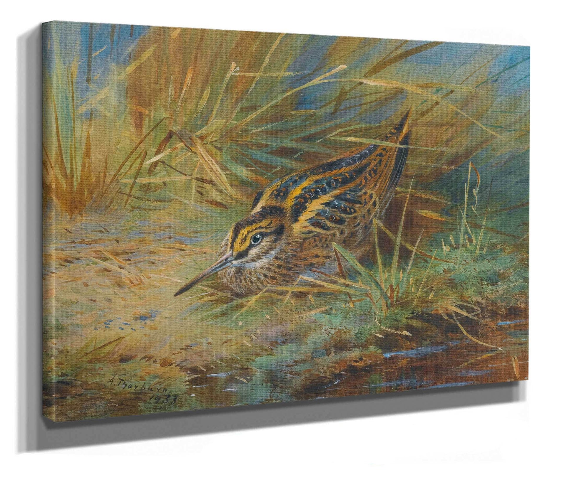 Jack Snipe by Archibald Thorburn