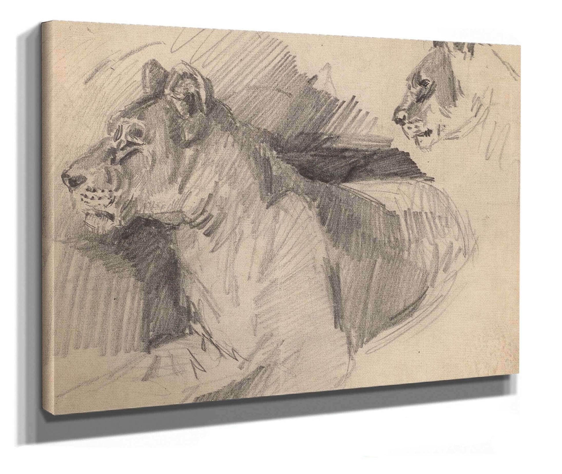 Josie by Arthur Bowen Davies