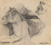 Josie by Arthur Bowen Davies