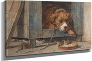 Kat Bespiedt Vogels Bij Een Slapende Hond  by Henriette Ronner Knip