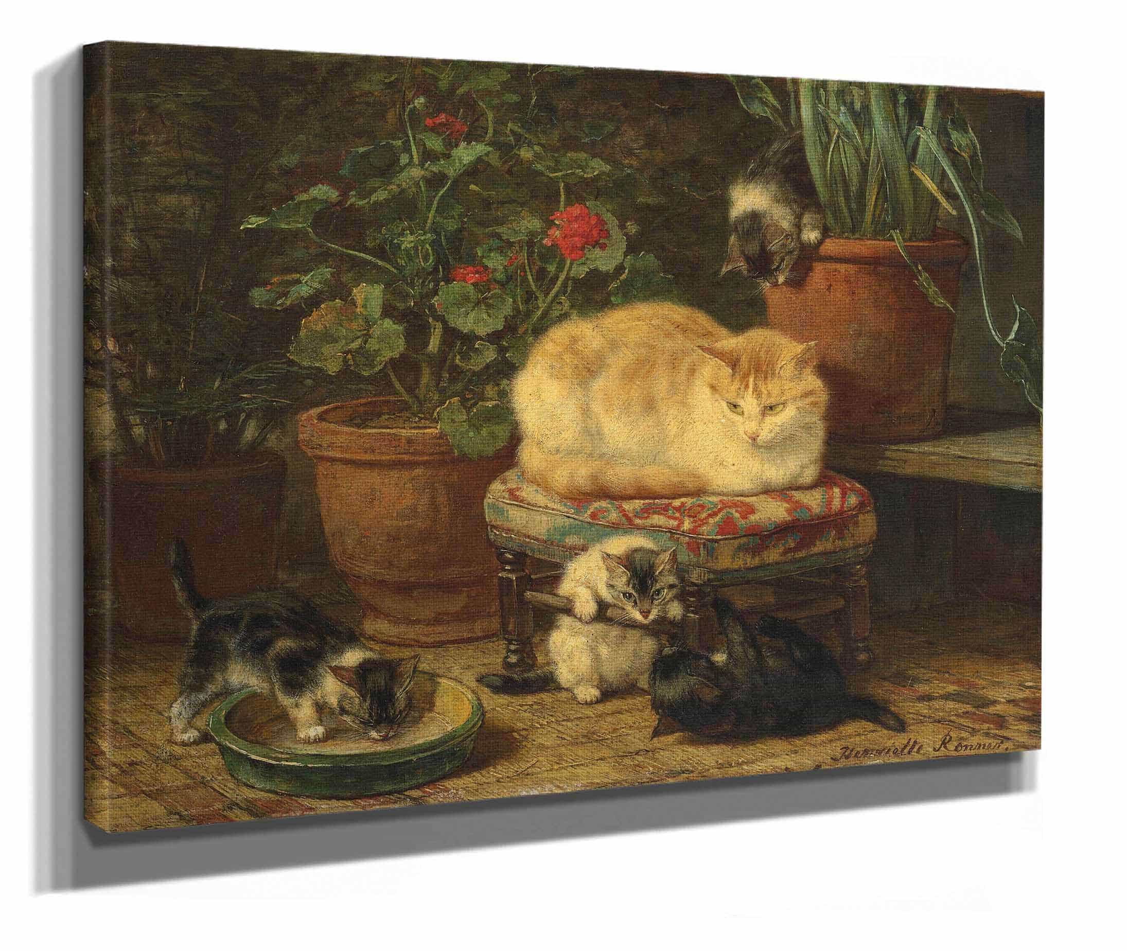 Kittens At Play by Henriette Ronner Knip