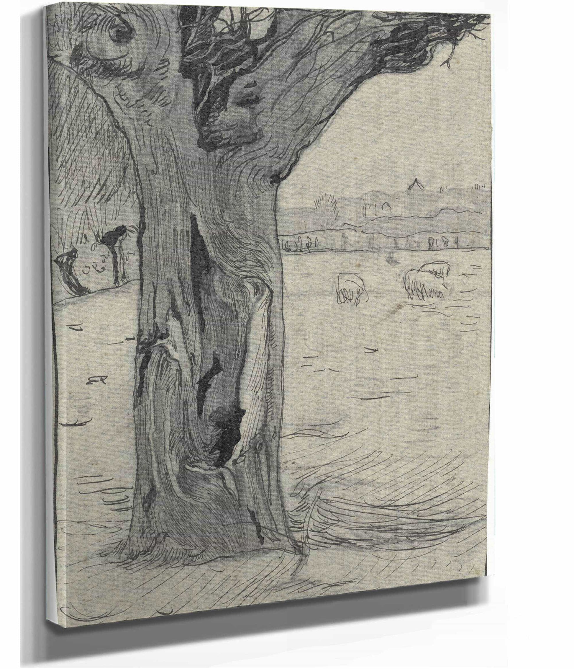 Knotwilg In Een Weidelandschap  by Richard Nicolaus Roland Holst