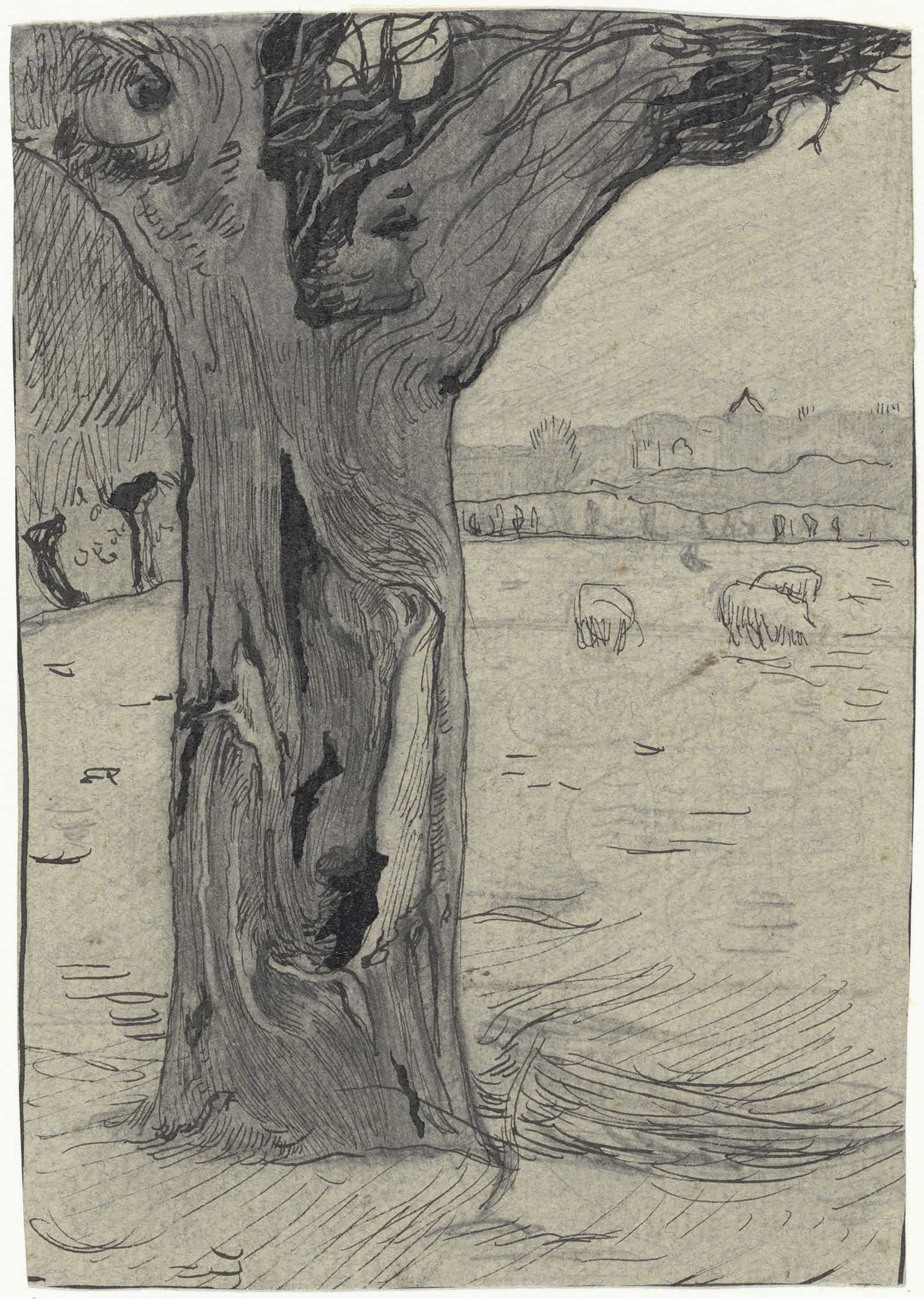 Knotwilg In Een Weidelandschap  by Richard Nicolaus Roland Holst