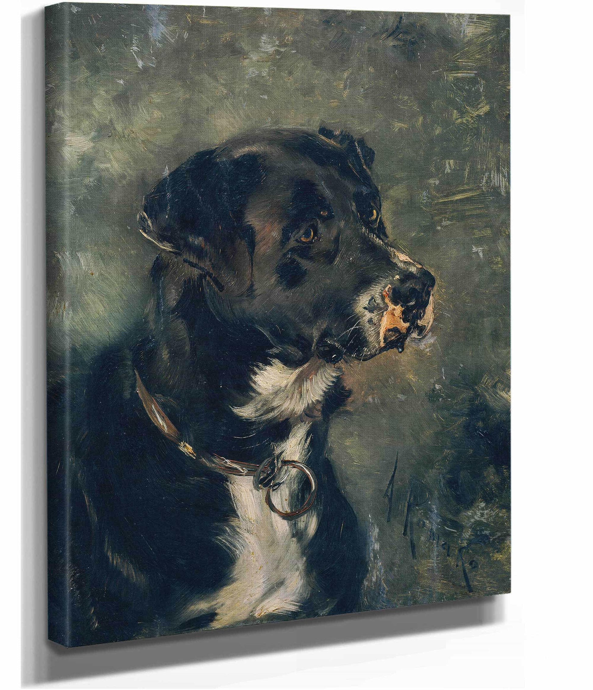 Kopf Eines Fleischerhundes Hundekopf by Anton Romako