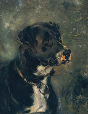 Kopf Eines Fleischerhundes Hundekopf by Anton Romako