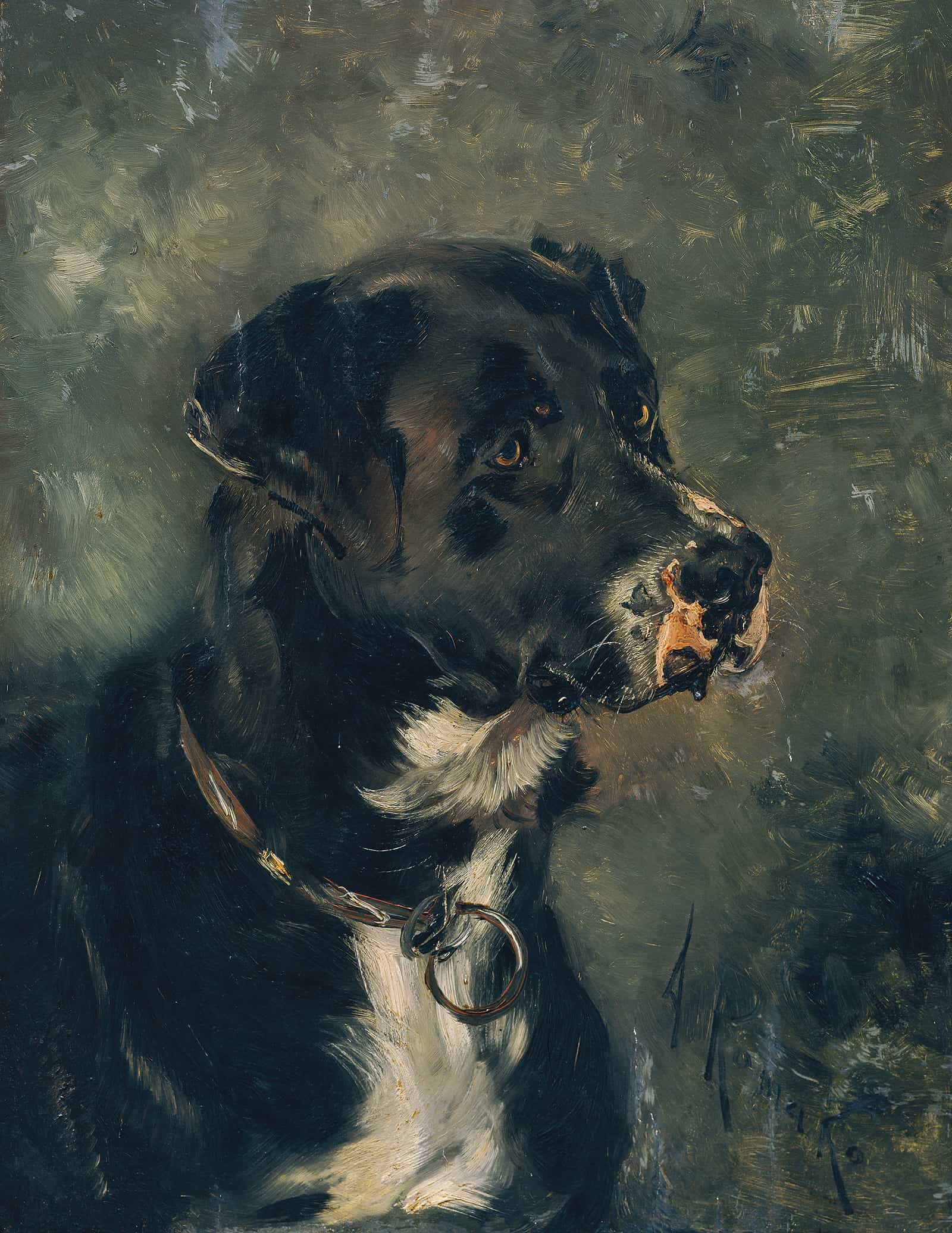 Kopf Eines Fleischerhundes Hundekopf by Anton Romako